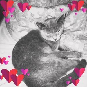 Meet your Posher, Conner